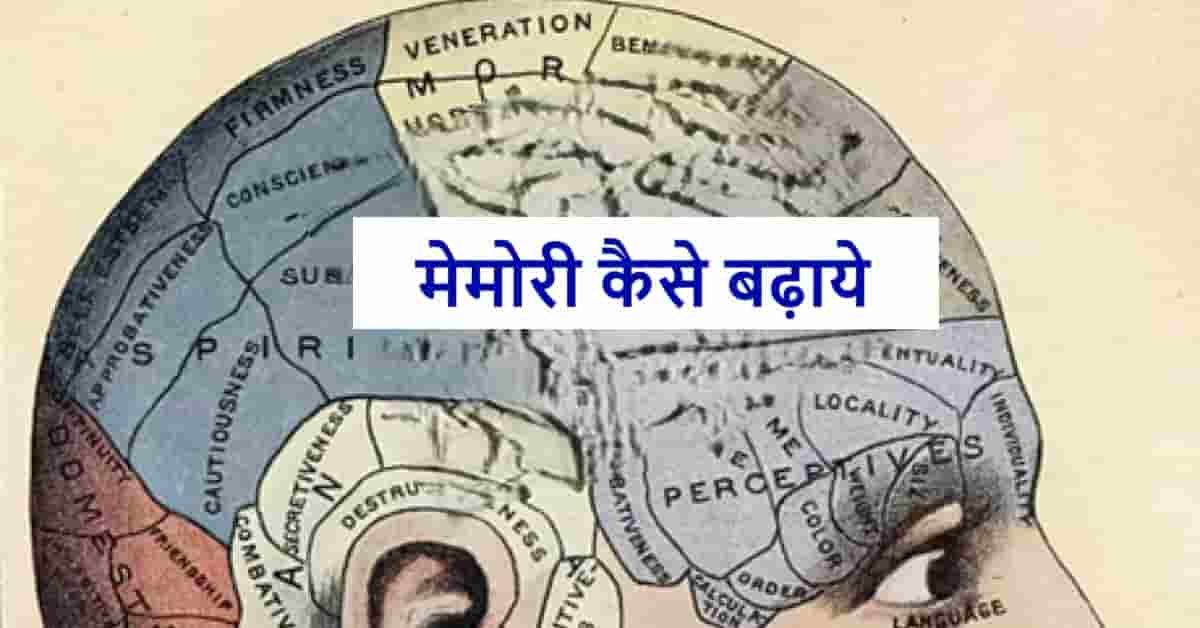 मेमोरी कैसे बढ़ाये | Memory Kaise Badhaye